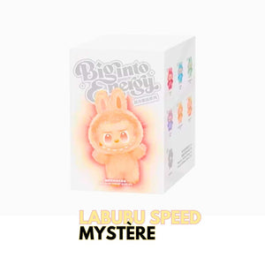 Labubu Surprise – La peluche fashion qui te choisit (Stock limité !)