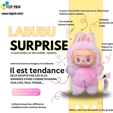 Labubu Surprise – La peluche fashion qui te choisit (Stock limité !)