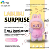 Labubu Surprise – La peluche fashion qui te choisit (Stock limité !)